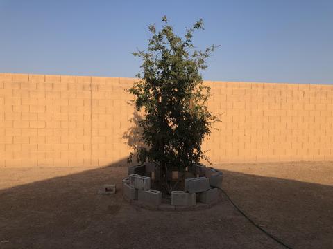 6041 S 20th Ave, Phoenix, AZ 85041 photo 23