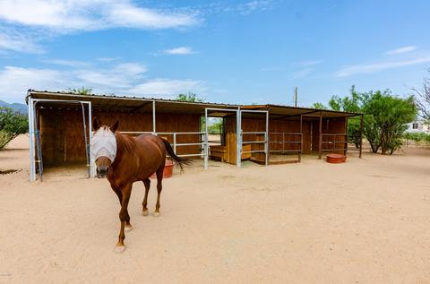 6200 E Dakota Rd, Hereford, AZ 85615 photo 45