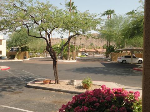 3434 E Baseline Rd #315, Phoenix, AZ 85042 photo 15