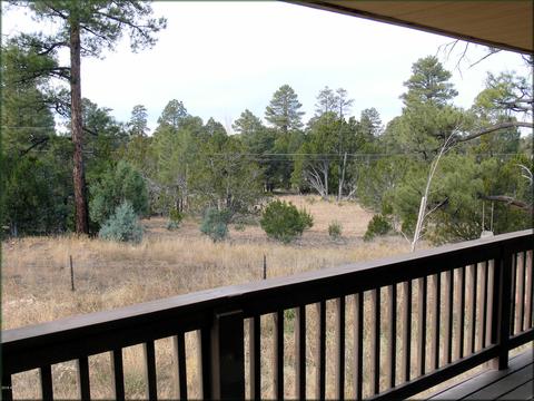 2056 Cherokee Strip --, Overgaard, AZ 85933 photo 2