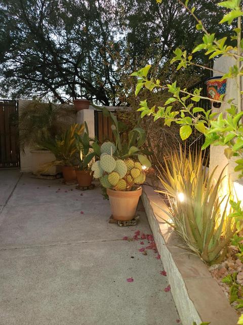 4702 Euclid Ave, Phoenix, AZ 85044 photo 44