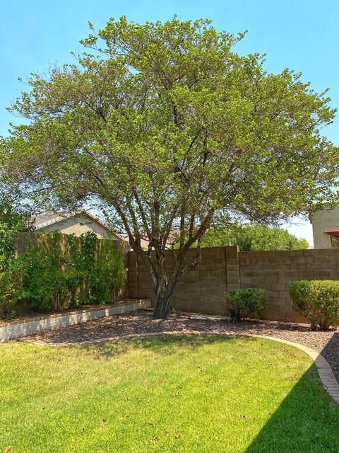 7904 E Obispo Ave, Mesa, AZ 85212 photo 53