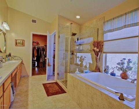 294 E Laredo Ave, Gilbert, AZ 85296 photo 9
