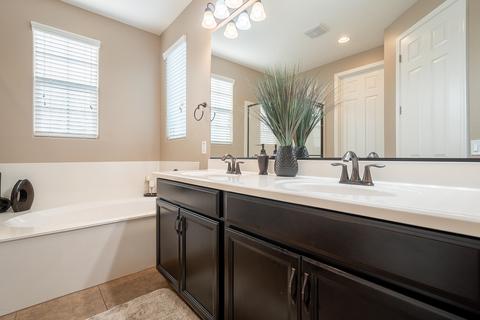 923 S Agnes Ln, Gilbert, AZ 85296 photo 39