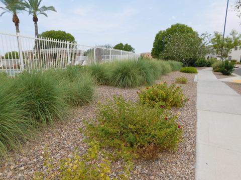1738 S Martingale Rd, Gilbert, AZ 85295 photo 39