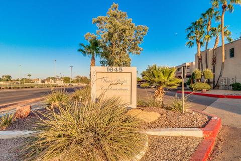 1645 W Baseline Rd #2111, Mesa, AZ 85202 photo 42