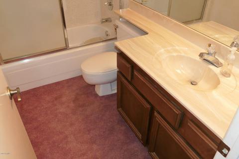 913 E Michigan Ave, Phoenix, AZ 85022 photo 20