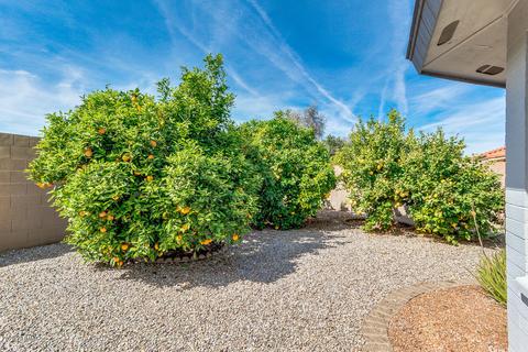11033 E Medina Ave, Mesa, AZ 85209 photo 46