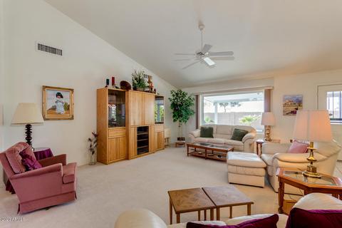 11033 E Medina Ave, Mesa, AZ 85209 photo 12