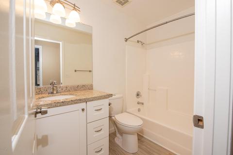 856 E Geronimo Ct, Chandler, AZ 85225 photo 10