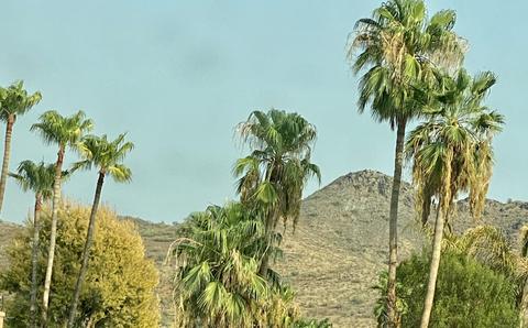 1931 E Greenway Rd, Phoenix, AZ 85022 photo 71
