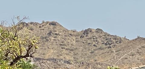 1931 E Greenway Rd, Phoenix, AZ 85022 photo 50