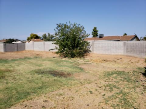 3423 E Angela Dr, Phoenix, AZ 85032 photo 27