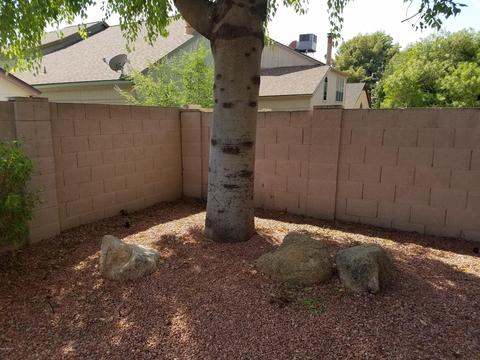 433 E Kerry Ln, Phoenix, AZ 85024 photo 49