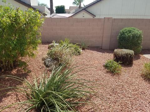 433 E Kerry Ln, Phoenix, AZ 85024 photo 47