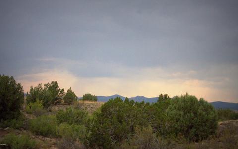1327 E Trev View Trl, Paulden, AZ 86334 photo 40