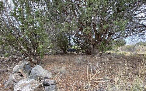 1327 E Trev View Trl, Paulden, AZ 86334 photo 37