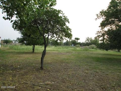 3541 E Astro St, Hereford, AZ 85615 photo 41