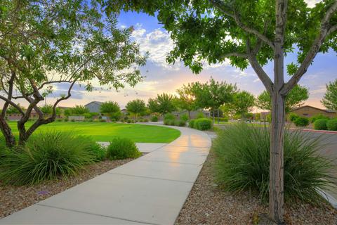 3729 Encanto St, Mesa, AZ 85205 photo 58