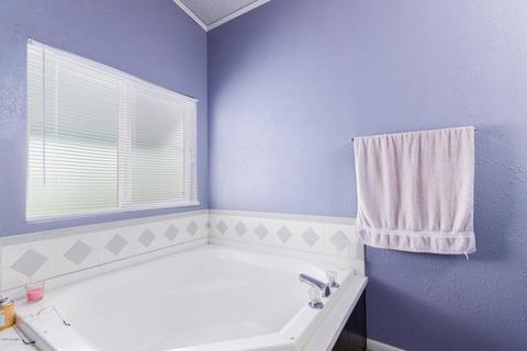 1446 E 21st Ave, Apache Junction, AZ 85119 photo 20