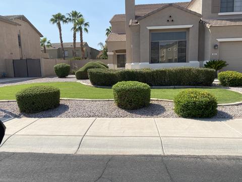 3221 E Devonshire Ct, Gilbert, AZ 85297 photo 1