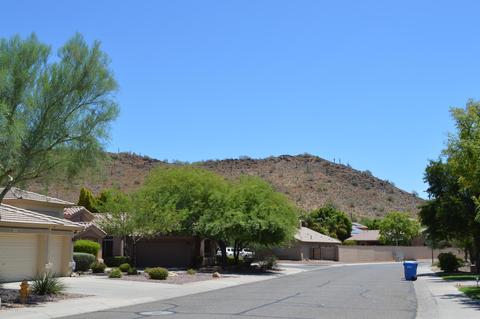 25628 N Hackberry Dr, Phoenix, AZ 85083 photo 6