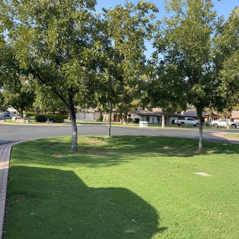 545 E Park Ave, Gilbert, AZ 85234 photo 68