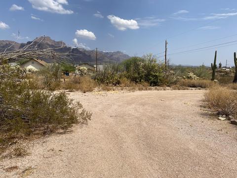 1227 N Starr Rd, Apache Junction, AZ 85119 photo 35