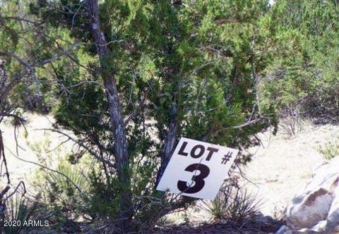 3341 Tonto Dr #-, Overgaard, AZ 85933 photo 3