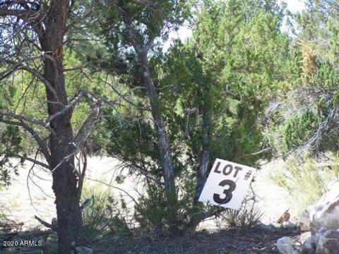 3341 Tonto Dr #-, Overgaard, AZ 85933 photo 1