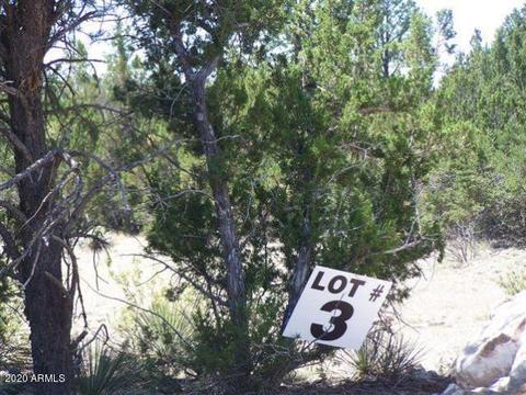 3341 Tonto Dr #-, Overgaard, AZ 85933 photo 2