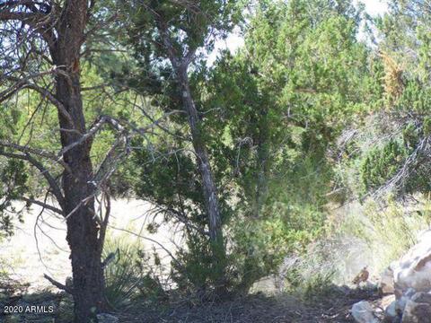 3341 Tonto Dr #-, Overgaard, AZ 85933 photo 5
