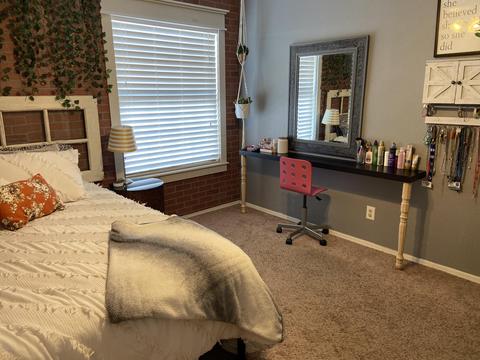 2831 E Laurel St, Mesa, AZ 85213 photo 36
