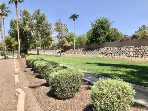 2421 E Robert E Lee St, Phoenix, AZ 85032 photo 68