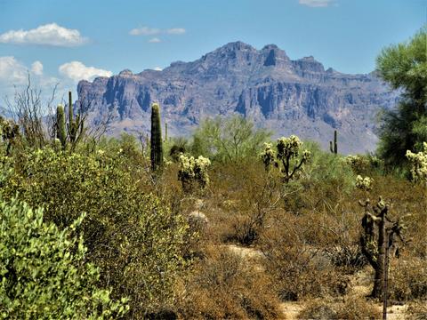 9425 E Mallory --, Mesa, AZ 85207 photo 14