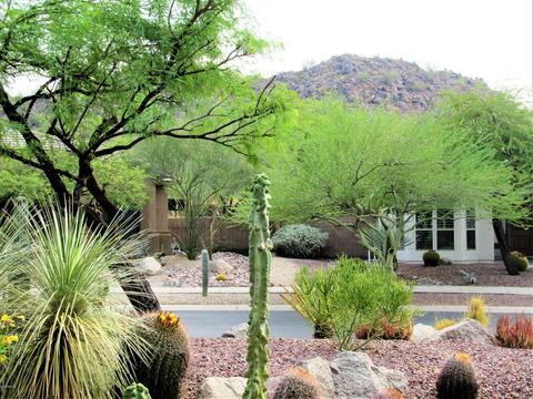 9425 E Mallory --, Mesa, AZ 85207 photo 6