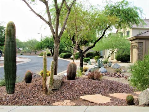 9425 E Mallory --, Mesa, AZ 85207 photo 8
