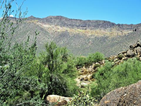 9425 E Mallory --, Mesa, AZ 85207 photo 13