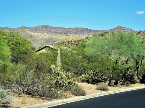 9425 E Mallory --, Mesa, AZ 85207 photo 3
