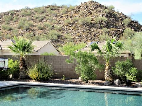 9425 E Mallory --, Mesa, AZ 85207 photo 52