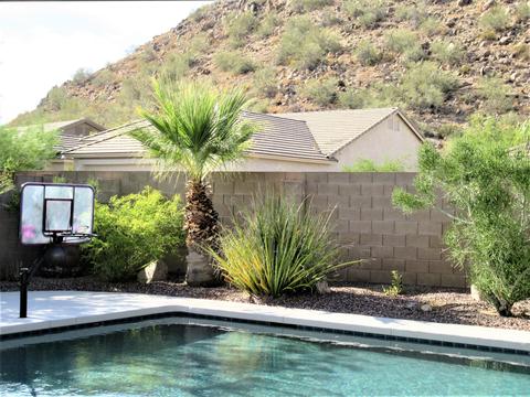 9425 E Mallory --, Mesa, AZ 85207 photo 25