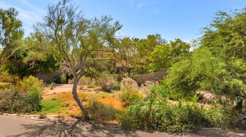4035 E Colter St, Phoenix, AZ 85018 photo 49