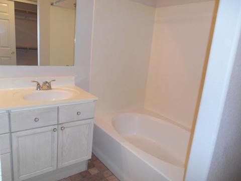 1148 W Windjammer Dr, Gilbert, AZ 85233 photo 14