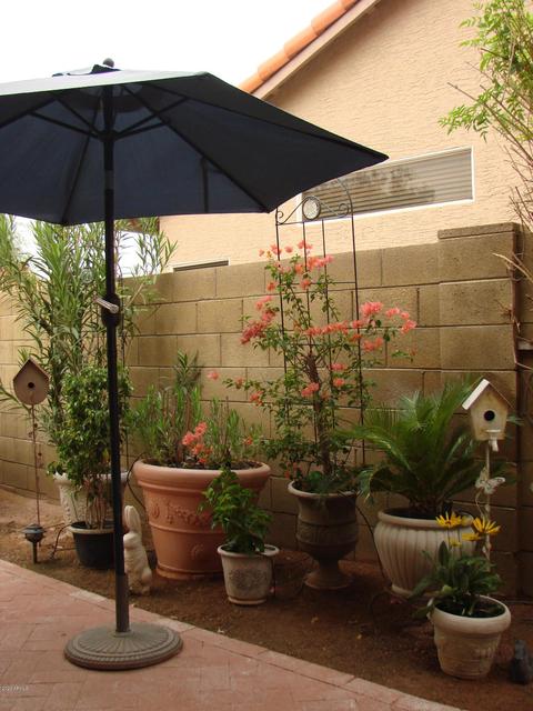 4623 Evans Dr, Phoenix, AZ 85032 photo 44