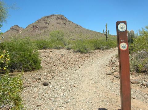 1611 E Redfield Rd, Phoenix, AZ 85022 photo 45