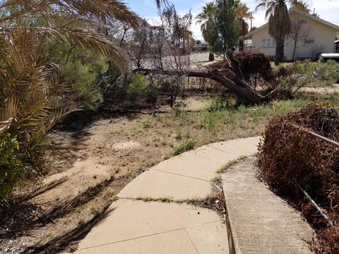 1278 E 12th St, Douglas, AZ 85607 photo 31