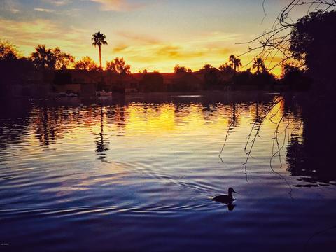 321 E Stonebridge Dr, Gilbert, AZ 85234 photo 27