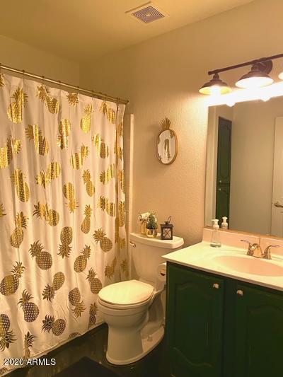 142 E 16th Ave, Apache Junction, AZ 85119 photo 42