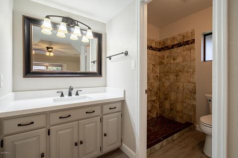 5314 E Dolphin Ave E, Mesa, AZ 85206 photo 31