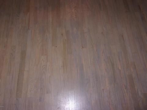 1009 E Lodge Dr, Tempe, AZ 85283 photo 4